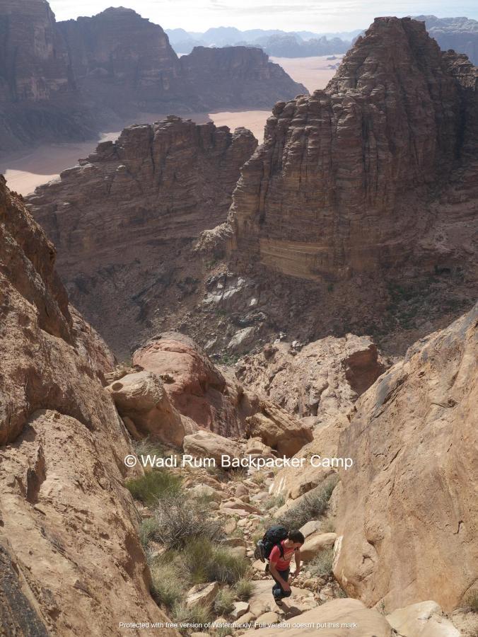 Wadi Rum Backpacker Camp Exteriör bild
